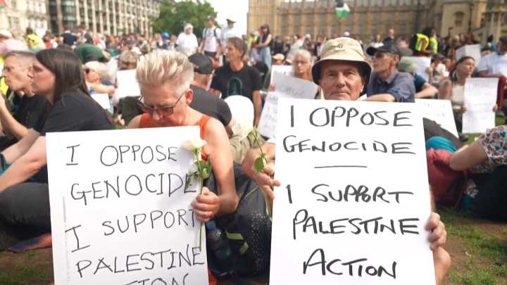 Clashes and arrests at Palestine Action protest in London