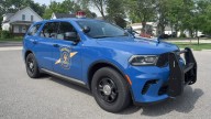 Wexford County man charged after reported cattle theft. Why he's facing felonies