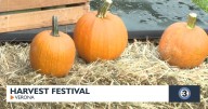 Urban Triage host fourth annual harvest festival