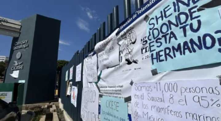 Activistas exigen a Julio Sheinbaum, hermano de Claudia Sheinbaum, defender a Ensenada de megapuerto