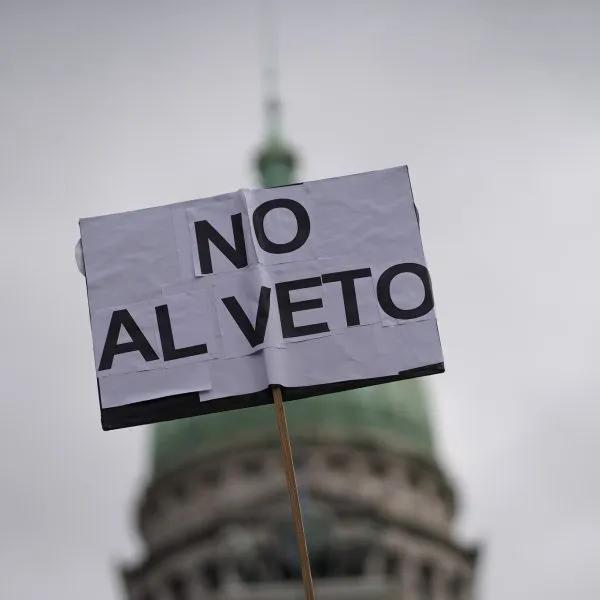 Diputados rechazaron los vetos a la Emergencia en Pediatría y el Financiamiento Universitario