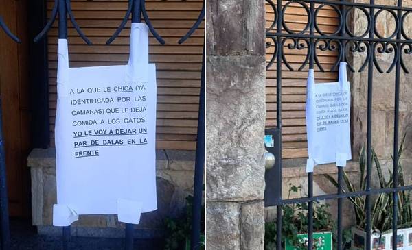 "A la que le deja comida a los gatos, un par de balas en la frente": amenazas y escándalo en barrio céntrico de La Plata