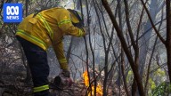 Firefighters race to set hazard reduction burns across Greater Sydney ahead of fire season