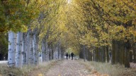 León recibe este lunes el otoño con lluvias y una bajada brusca de temperaturas