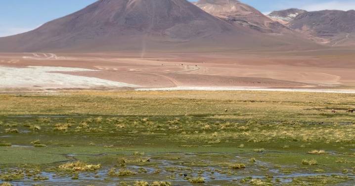 Chile es reconocido por los Óscar del Turismo: recibe cinco premios en los World Travel Awards 2025