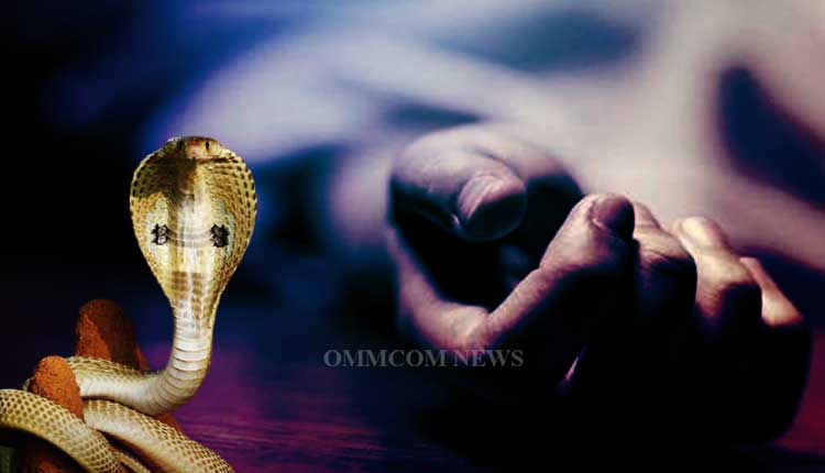 Snake Rescuer Dies Of Snakebite While Performing Stunts With Cobra