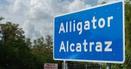 Alligator Alcatraz saved? Appeals court panel stops order to wind down facility