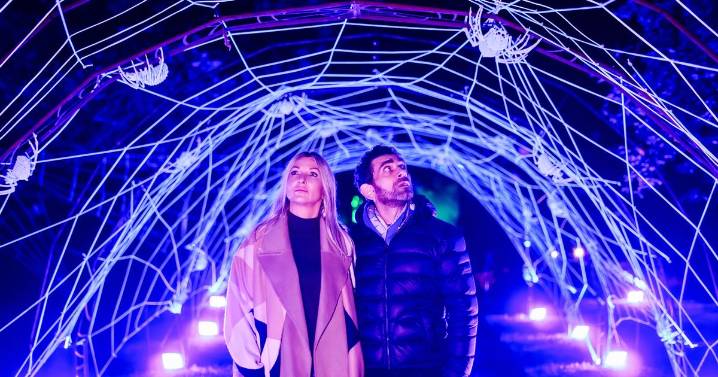 AD FEATURE: Halloween returns to Quarry Bank with a brand