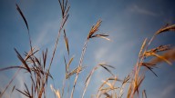 Calhoun County forecast: Showers, storms and frizz alerts