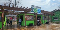 Fort Wayne Dystonia Zoo Day brings awareness to rare movement disorder