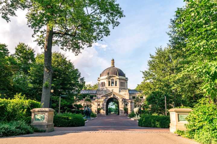 PBS KIDS series 'Daniel Tiger's Neighborhood' is coming to the Bronx Zoo next year