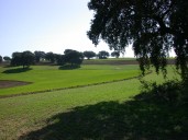 Incrementan al 30 % las explotaciones ecológicas de Andalucía durante cuatro años