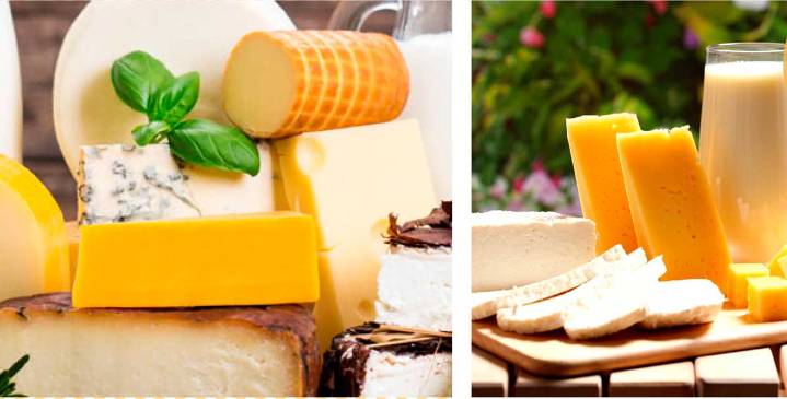 Diplomado en calidad y transformación de la leche