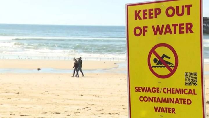 Silver Strand, Dog Beach reopened this weekend