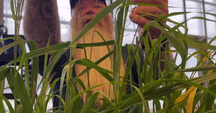 Denver Botanic Gardens Fall Plant and Bulb Sale will go on, despite shipment lost in transit