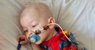 'My son screamed in pain after swimming - it was hidden sign of horror disease'