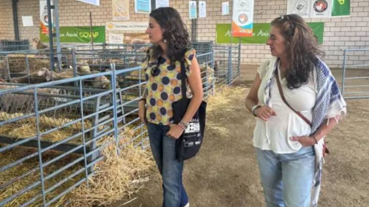 Irene de Miguel asegura que la lengua azul se está gestionando de manera "desastrosa" More