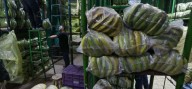 “Otro problema a la vista”: baja probabilidad de que la inflación cierre en rango objetivo