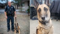 Texas Police Dog Retires From Service With A Farewell Full Of Love And An Unforgettable Parting Gift