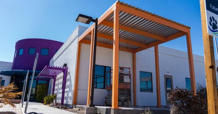 Mosquito fogging, street maintenance and other projects on tap this week throughout Bullhead City