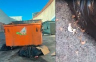 Video.- Hasta gusanos en basura de Plaza Las Haciendas