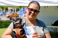 Destacan caso de “Micro”, perrito protegido por servicios para mascotas