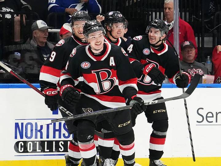 Ottawa Senators sign restricted free agent defenceman