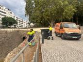 Dispositivo de limpieza en las Murallas Medievales de Algeciras, así como en Los Toreros y Cortijo Vides
