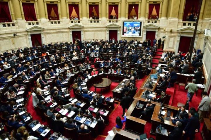 La oposición buscará frenar los vetos a las leyes de financiamiento a Universidades y al Garrahan