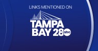 Links mentioned on Tampa Bay 28 in September 2025