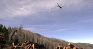 Rescind the Roadless Rule? Here’s what former Forest Service chiefs have to say