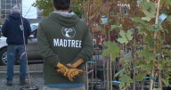 Cincinnati's annual program to get more trees to local homeowners free of charge is underway