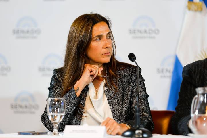 “Hechos de corrupción”. Qué dijo Talerico, la ex vice de la UIF, sobre el Gobierno