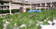TIME Is Looking For the World’s Top GreenTech Companies of 2026