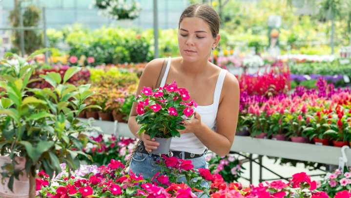 Why Propagating Plants Could Cause You A Legal Headache