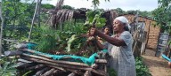 Iniciativas que impulsan la producción sostenible y el desarrollo rural en Colombia