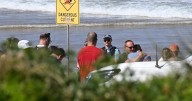 'Great tragedy' as surfing dad fatally mauled by shark