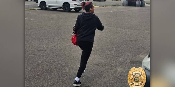 Police searching for suspect accused of stealing ball python from Colorado pet store