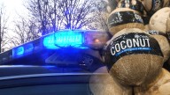 Police called to disarm coconut bomb at WA park