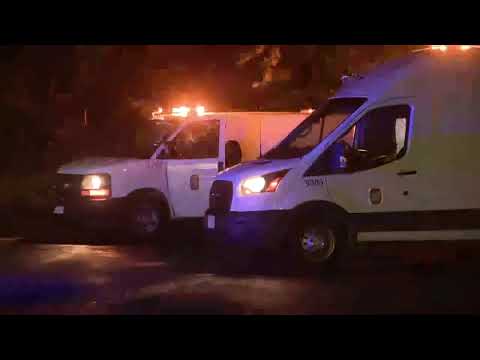 Three juveniles injured in reported dog attack