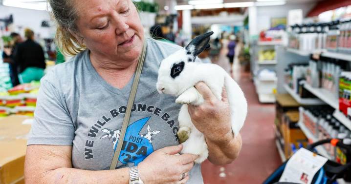 Hop over to Jefferson Feed to meet adoptable bunny rabbits at 'speed dating' event