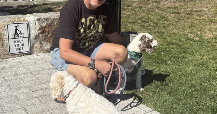 Furry friends run for corner office