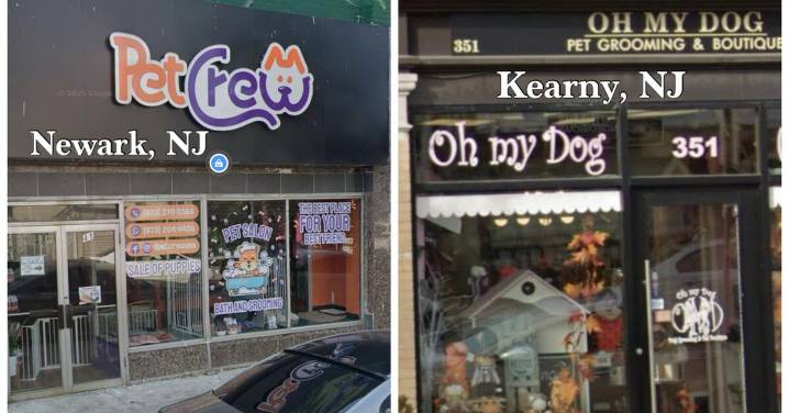 Newark, Kearny Pet Stores Among Eight Cited for Violating Pet Protection Laws