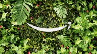 Amazon gears up for the big reveal of its fresh devices later this month