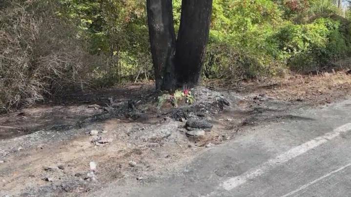 Neighbor recalled trying to save car crash victims in Schoharie