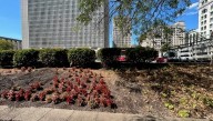 Youngstown CityScape to redesign downtown garden