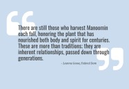 Letter to the Editor: Honoring the wisdom of Manoomin by protecting what sustains us