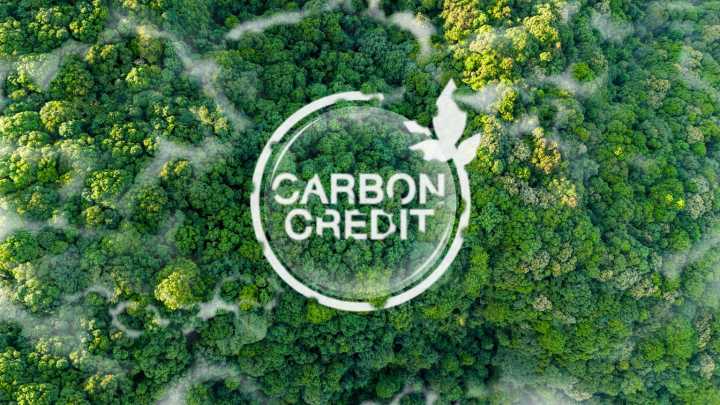 Carbon Credits: Playing The Diversification Game