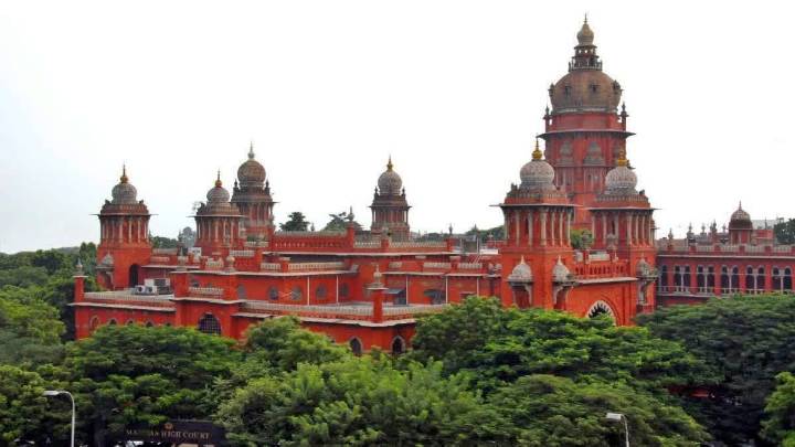 Stampede At TVK Rally: Madras HC To Hear Plea Seeking Ban On Party's Public Gatherings