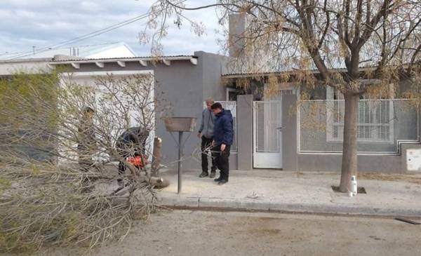 Poda en distintos sectores del barrio Norte